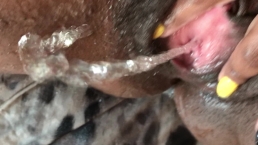 Cumming Fingering & Peeing all over myself. EXTREME CLOSE UP